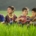 Four boys sitting in tall grass. One with a ukulele and the others singing