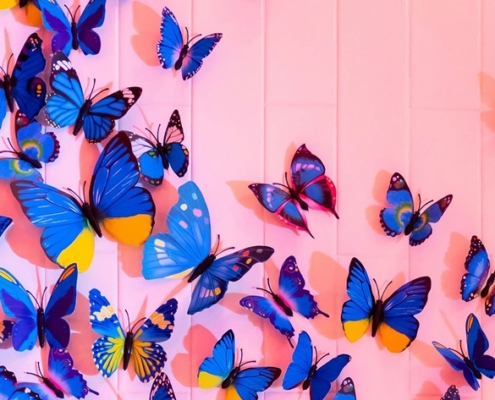 blue butterflies with wings spread on a pink background