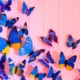 blue butterflies with wings spread on a pink background