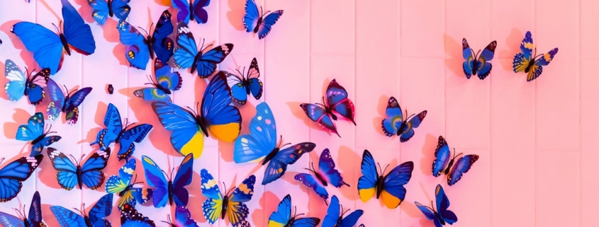 blue butterflies with wings spread on a pink background