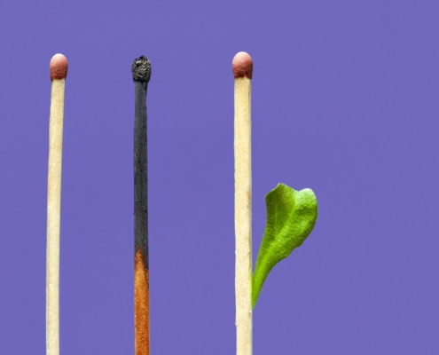 Five matches on a purple background. One is burned and another is growing a green leaf.