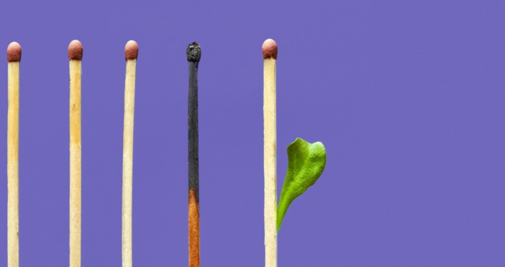 Five matches on a purple background. One is burned and another is growing a green leaf.