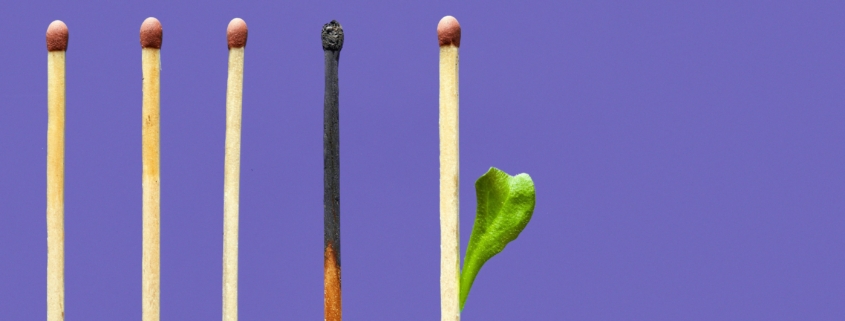 Five matches on a purple background. One is burned and another is growing a green leaf.